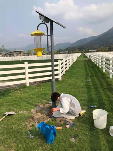 广东省广州市从化马场太阳能杀虫灯